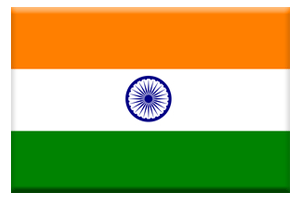インド国旗ボタン