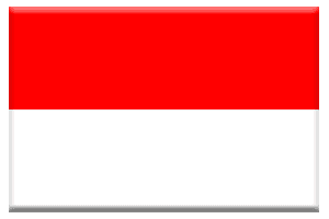 インドネシア国旗ボタン