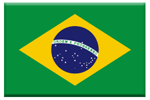 ブラジル国旗ボタン