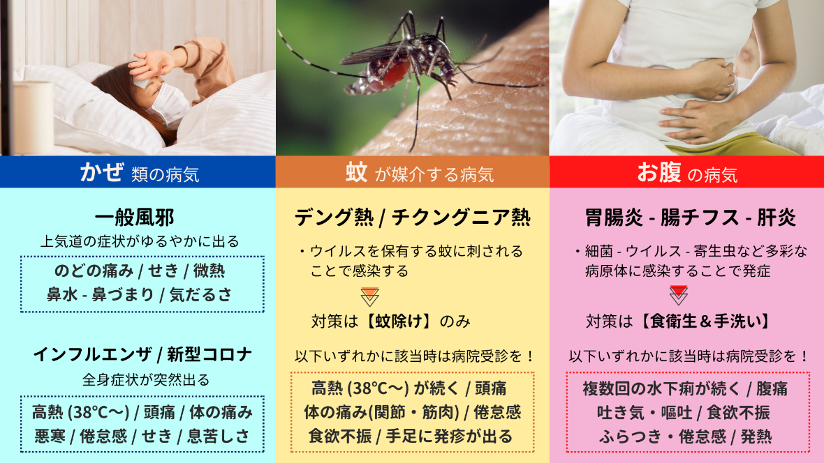 風邪・蚊・腹の病気の症状と対策図