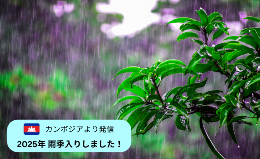 雨に濡れる緑の植物と「カンボジアより発信 2025年雨季入りしました！」のテキスト