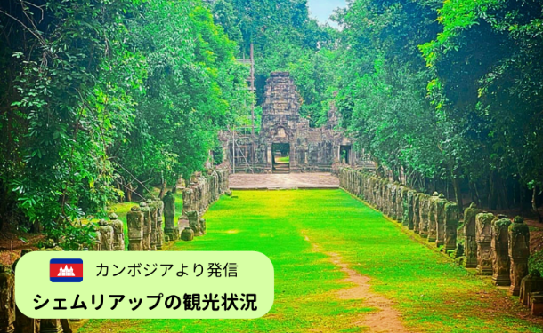 カンボジア・シェムリアップの遺跡へ続く参道の写真。『カンボジアより発信 シェムリアップの観光状況』というテキスト入り。
